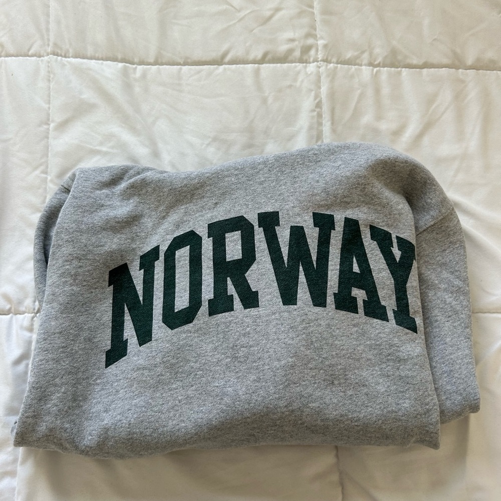brandy melville grey “norway” hoodie
